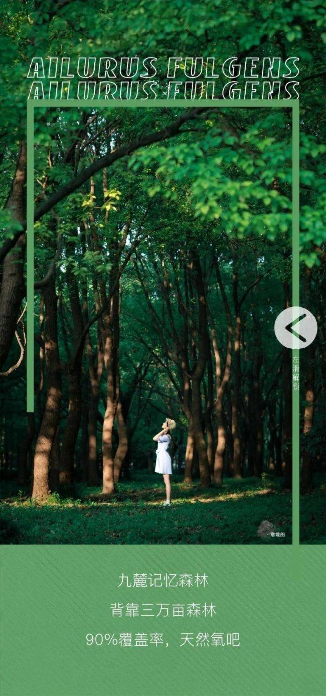 甜蜜的美好回忆