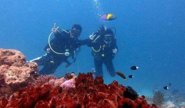 空仓近300天后入场做多 基金经理抢抓“加仓好时机”