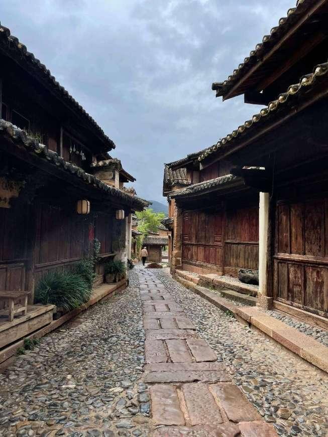 破碎的动物图形